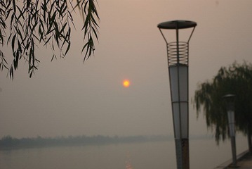 IMGP1309_conew1.JPG