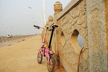 IMGP1163_conew1.JPG