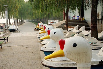 IMGP1306_conew1.JPG