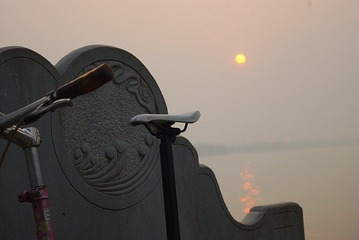 IMGP1304_conew1.JPG