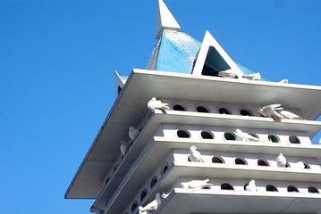 IMGP1702_conew1.jpg