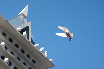 IMGP1714_conew1.jpg