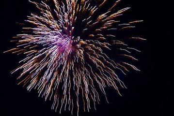IMGP2032_conew1.JPG