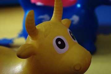 IMGP2330_conew1.JPG