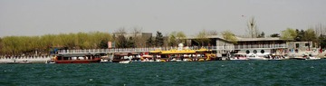 IMGP2475_conew1.JPG