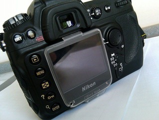 D200 (2).jpg