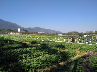 2003186
