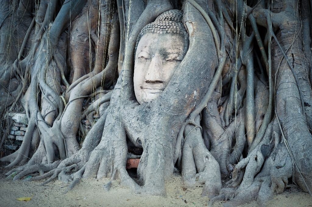 微笑<br />
大城府阿瑜陀耶（Ayutthaya） Wat Mahathat里的树中佛。佛身早已不见，微笑历经百年。