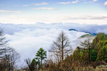 DSC_1566.jpg