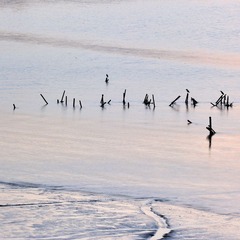 DSC_4244.JPG