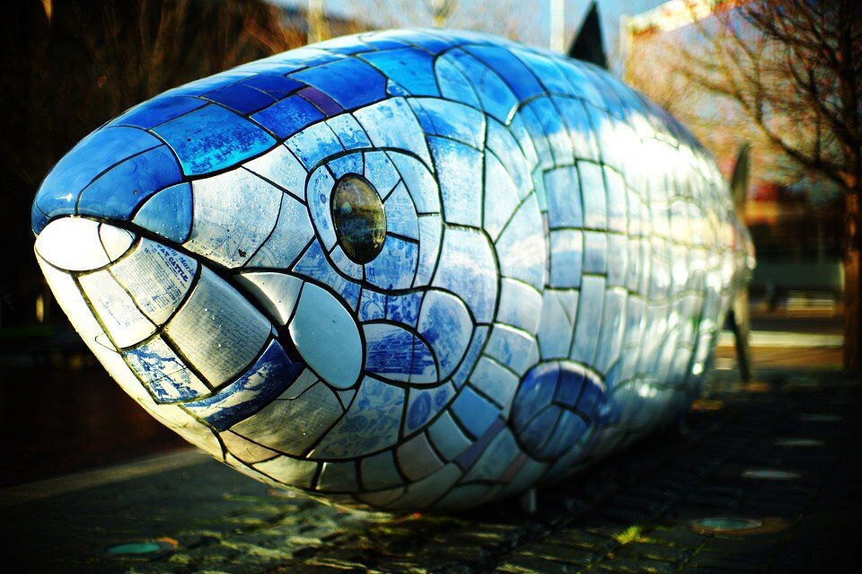 big fish<br />
