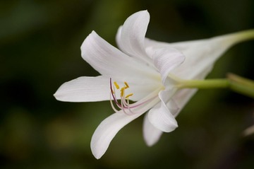 DSC_8883-9