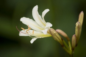 DSC_8893-9