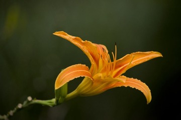 DSC_8873-9
