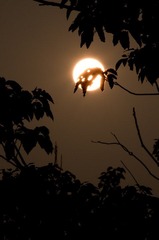 DSC_9550-9.jpg