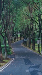 333FDC20-6F20-4898-A33F-A25073E7993A/L0/001