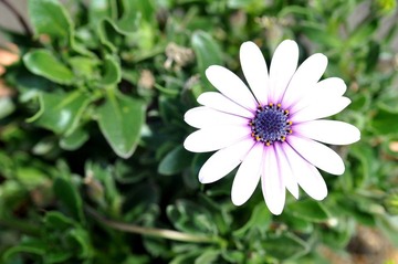 DSC_2744s.jpg