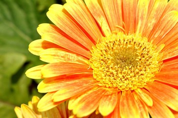 DSC_2777s.jpg