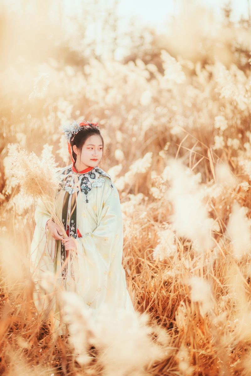 蒹葭苍苍白露为霜所谓伊人在水一方芦苇汉服写真约拍芦苇古风人像
