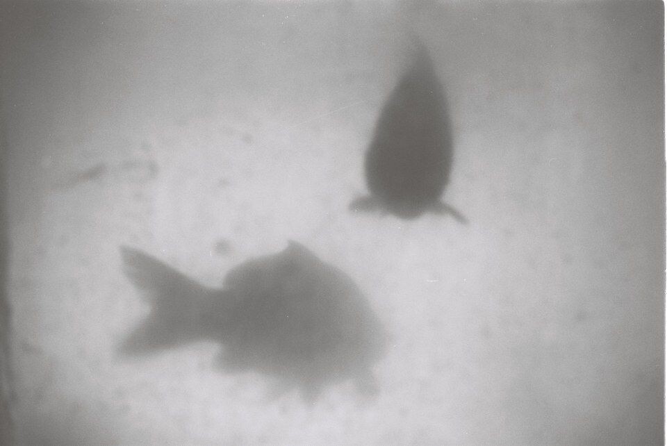 3<br />
