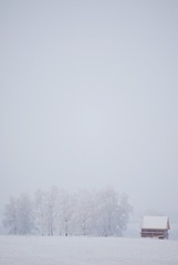 8D8E71ED-7819-4CCE-B5BC-D278D673F0B4/L0/001