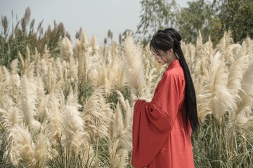 8DEBCE8D-0167-4F12-9D15-CF9C4BCBD97A/L0/001