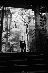NEO 4-neopan400_024