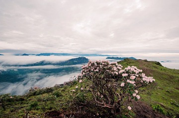 牛背山0213.jpg