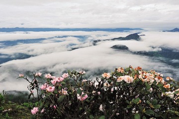 牛背山0224.jpg