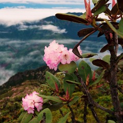 牛背山0232.jpg