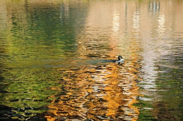 DSC_8032.jpg