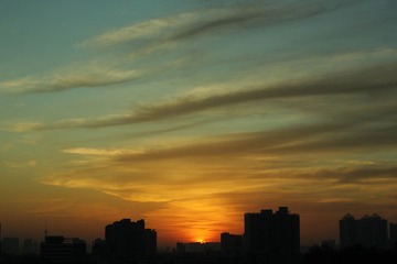 IMG_8442.JPG