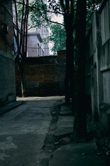 AE0B2A4E-875A-4104-A4DC-E56A8017C4DA/L0/001