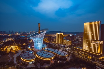 马蹄莲 (2)