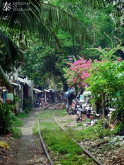 DSC04671.jpg