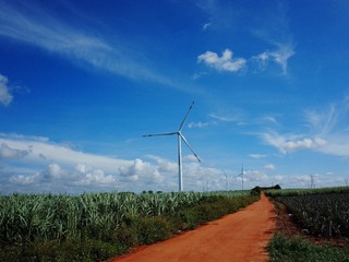 1000020413