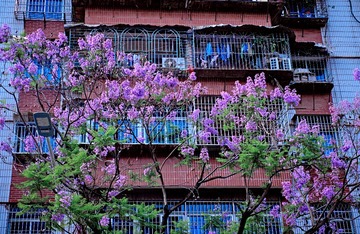 DSCF8221
