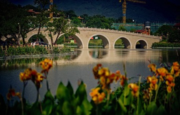DSCF8402