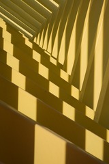 75244