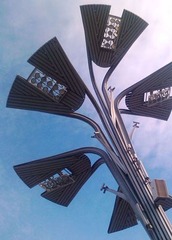 IMAG0428