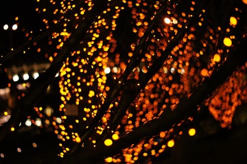 B16A1798-6A4A-487F-BB4B-1BE32E262F4B/L0/001