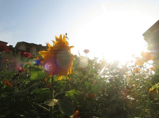 IMG_0577.JPG