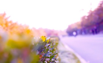 20111112-20111112-DSC02471.jpg