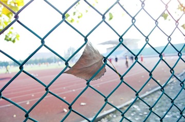 20111112-DSC02466.jpg