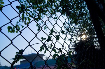 20111112-DSC02468.jpg
