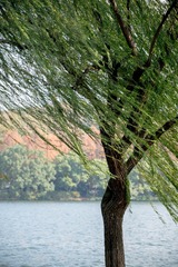 7D4FEA29-5C57-4F5E-979D-7F02B0B3FC8B/L0/001