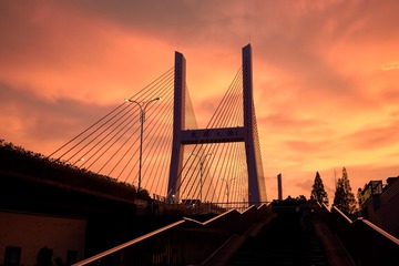 1060229