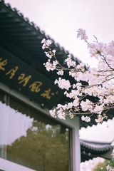 0FA0C820-7C49-43AB-A6D9-1B215123C48B/L0/001