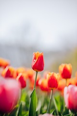 1040321