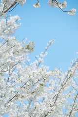 8C3198D9-3C9E-49A4-9CA7-FF43C1387AC2/L0/001